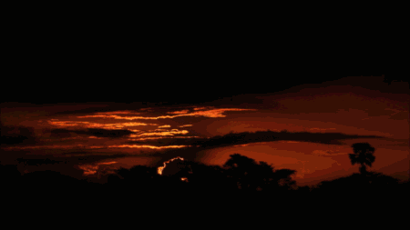 0278d8b27fdadbb8fdf9f1d679bf2818-sz_465096.gif