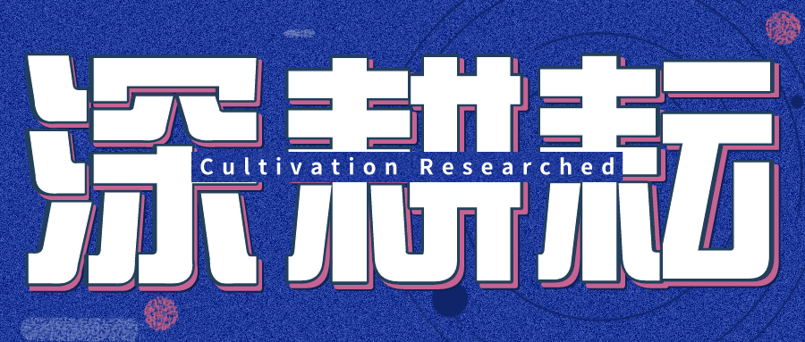 默认标题_公众号封面首图_2019-12-04-0 (5).jpeg
