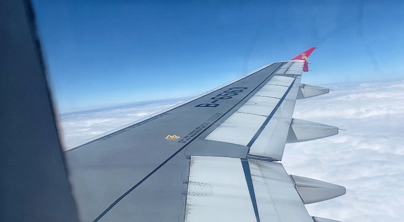 P1.jpg